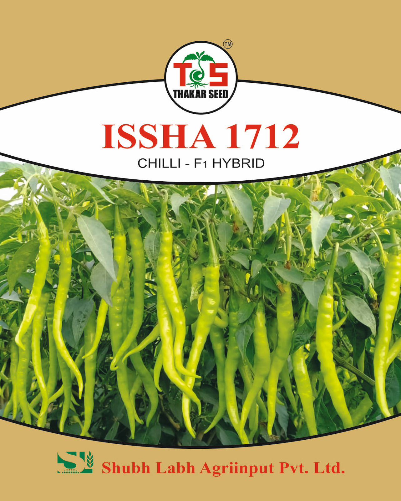 ISSHA 1712 (CHILLI - F1 HYBRID)