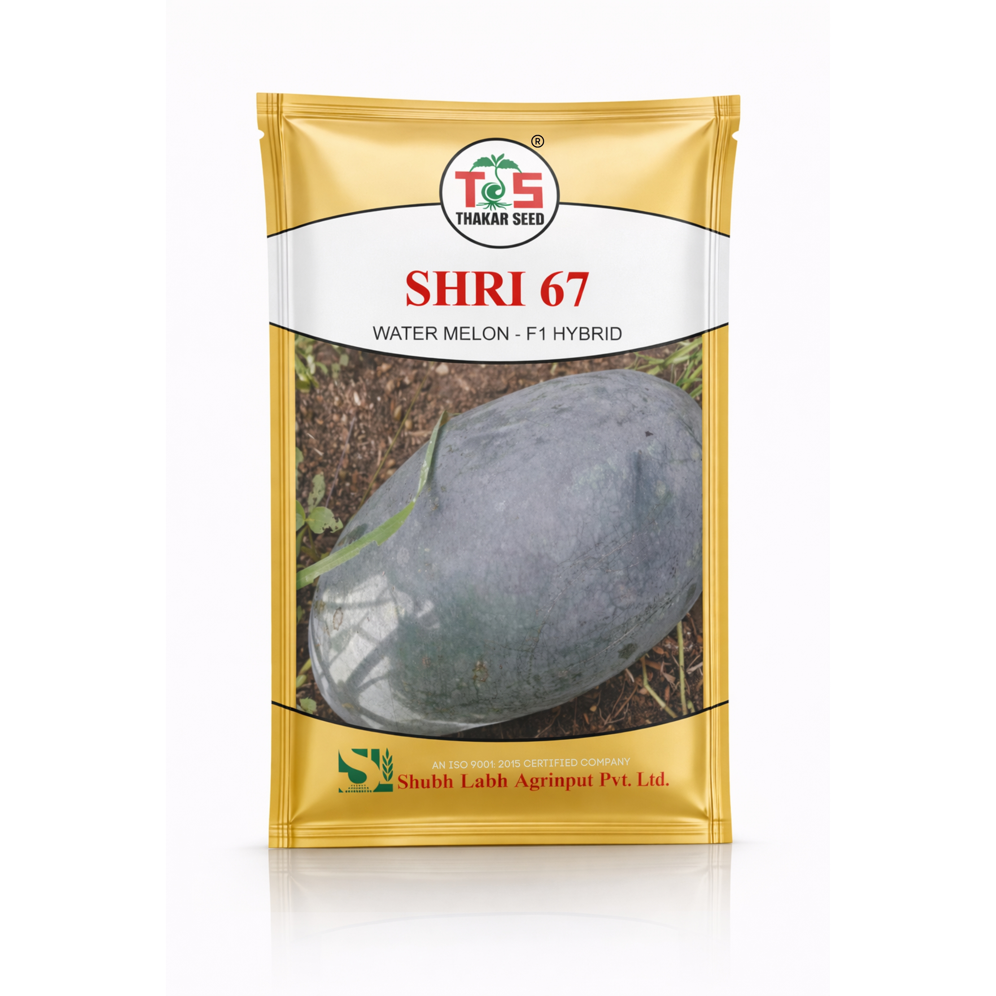 SHRI 67 (WATERMELON F1 - HYBRID)