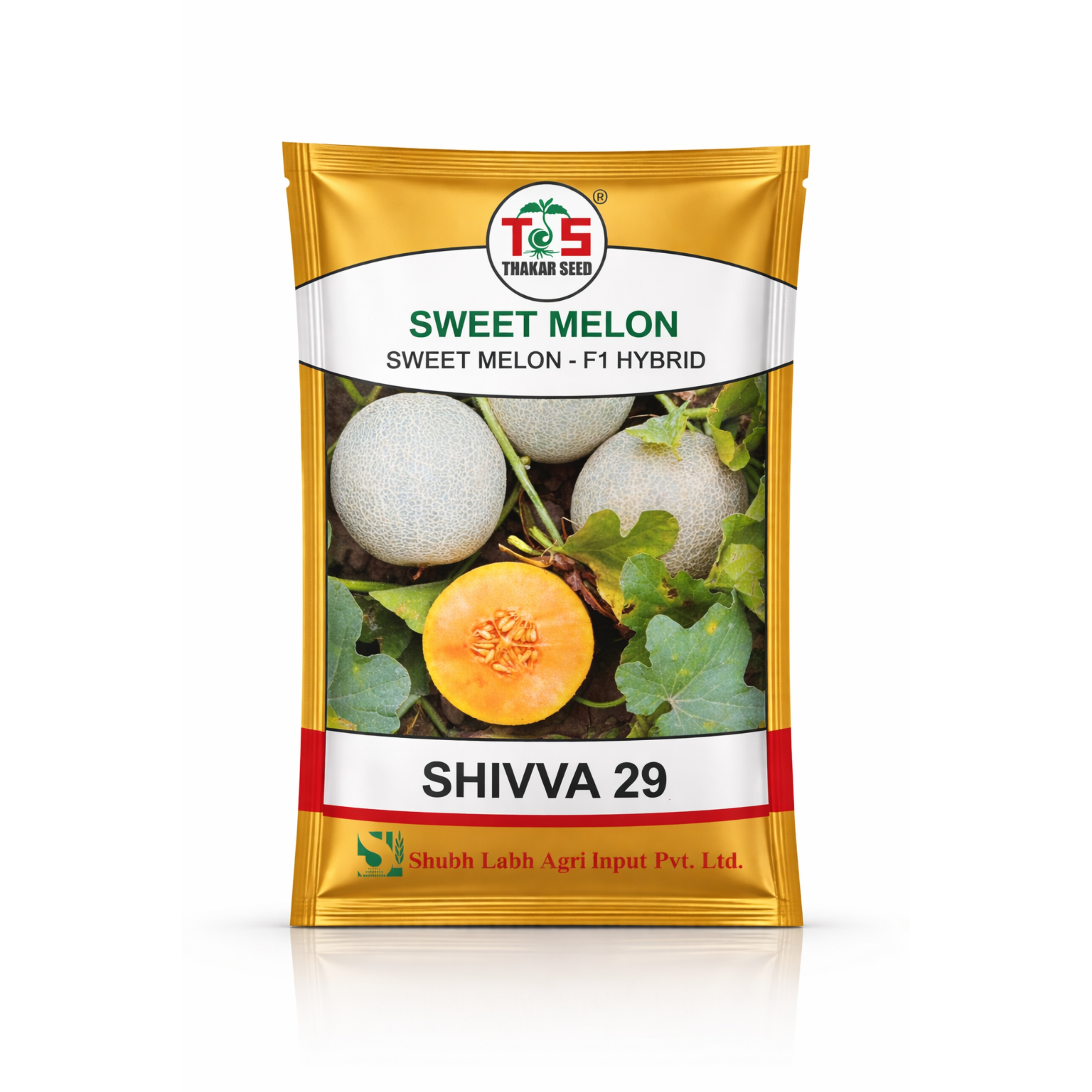 SHIVVA 29 (SWEET MELON)
